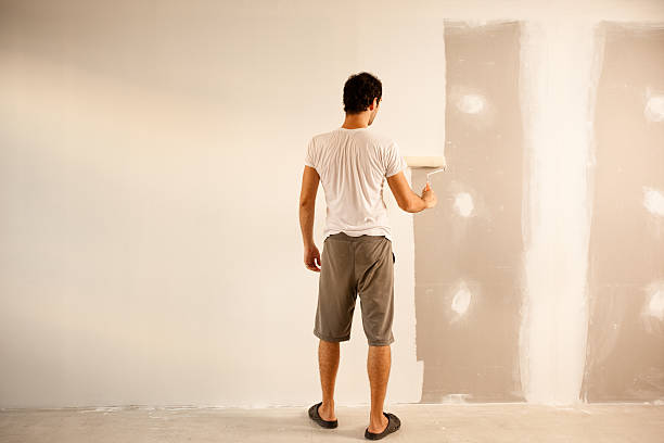 Reliable Lake Dalecarlia, IN Dry wall and painting Solutions